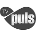 TV Puls